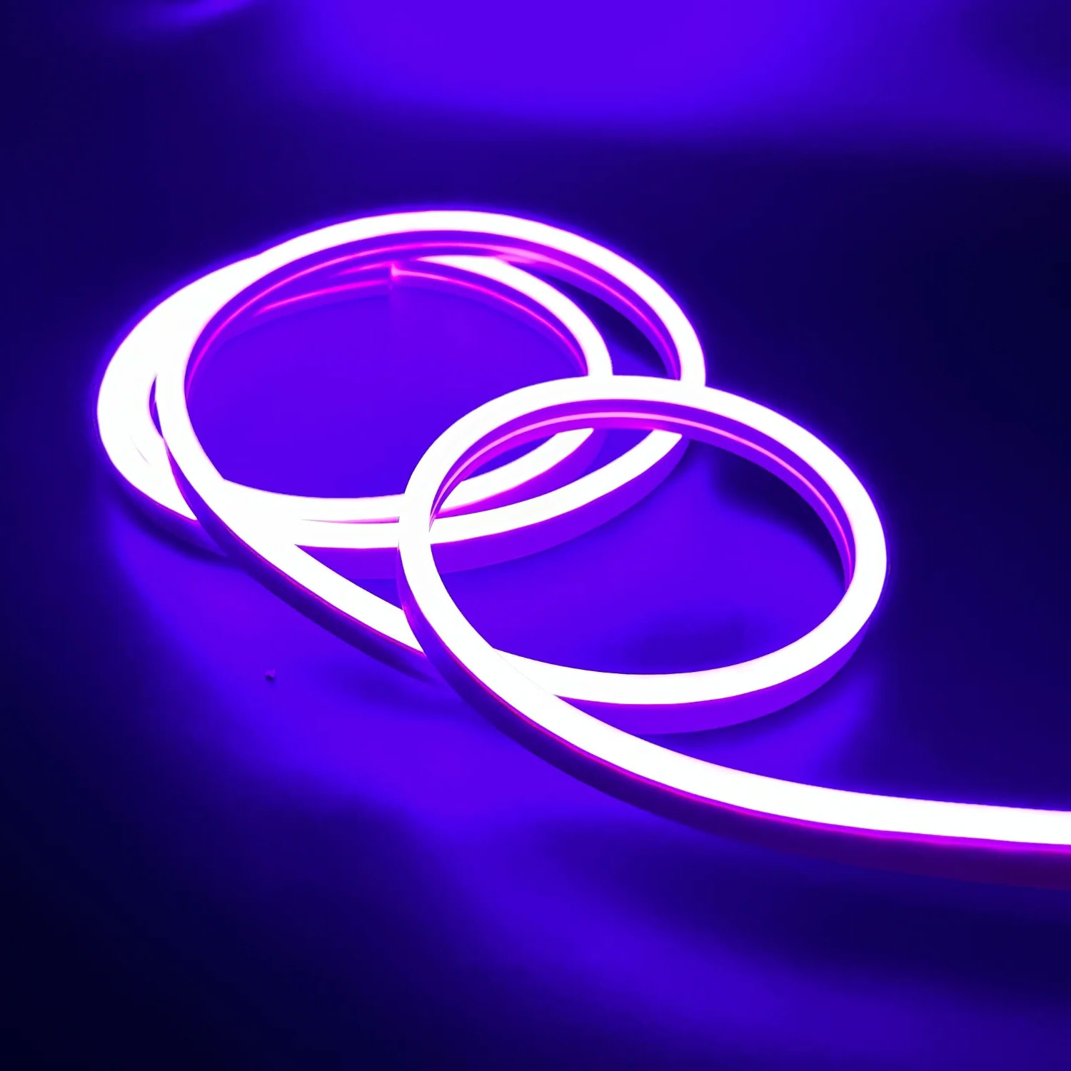 Purple Neon Flex 12V 8x16mm 120LEDs/m IP65 - 5m